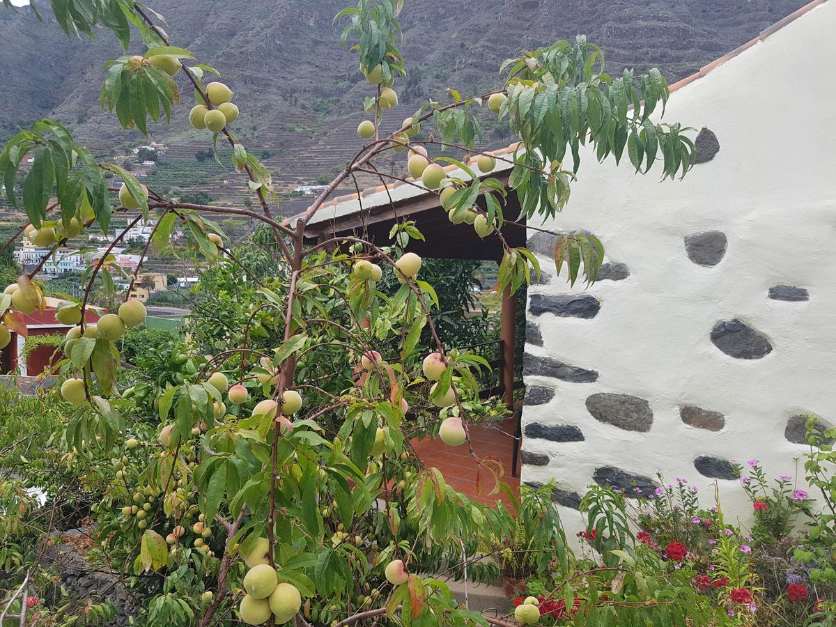 Casa Rural Las Nuevitas I Hermigua Esterno foto